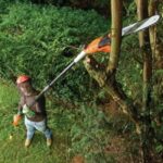Black & Decker - Grensav på skaft 25 cm.