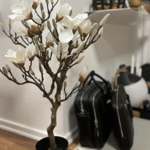La Vida Kunstigt Magnoliatræ